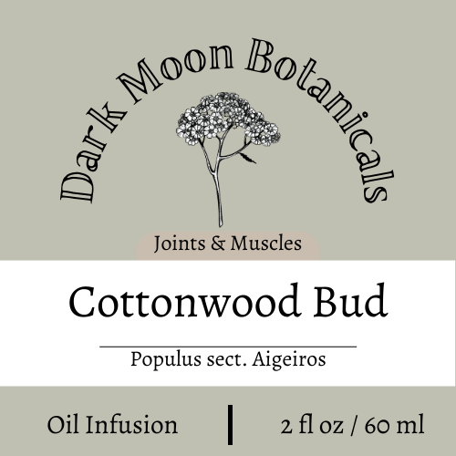 Cottonwood Bud Oil